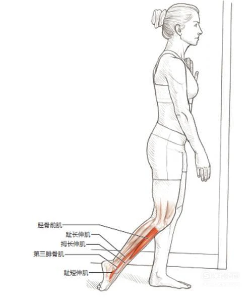 哪里能找到智能化篮球训练的应用程序_1